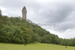 william wallace monument 4 sm.jpg